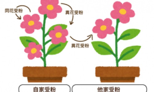 活人和死人的区别图片-活人和死人的区别网 - 网站提供活人和死人的区别图片小常识、活人和死人的区别在哪里